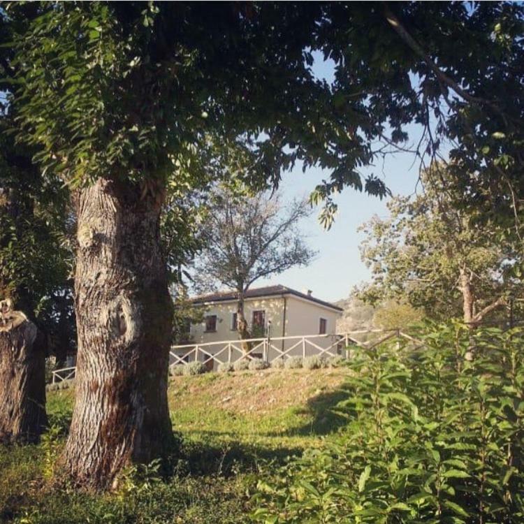 Agriturismo Acquafredda Villa Mormanno Buitenkant foto