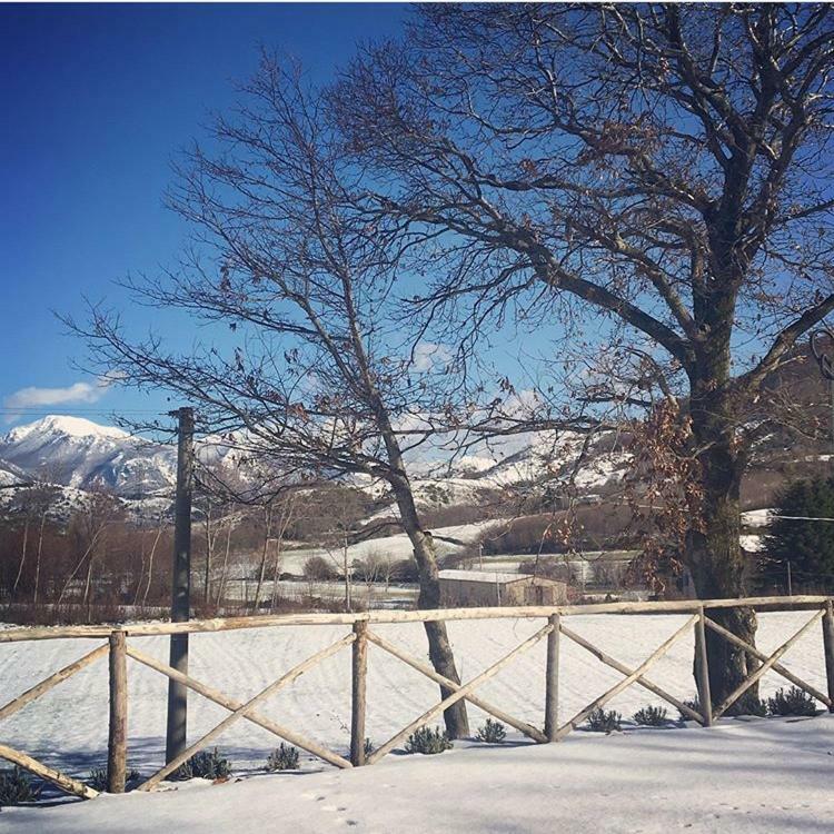 Agriturismo Acquafredda Villa Mormanno Buitenkant foto
